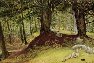 Parkhurst-skogen, Abinger, Surrey
